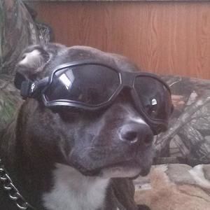 Meet your Posher, Mark